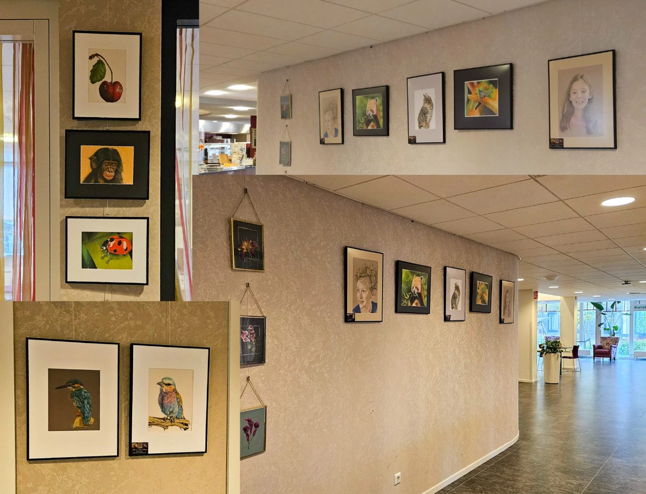 Expositie 'mens en dier' in DrieMaasHave